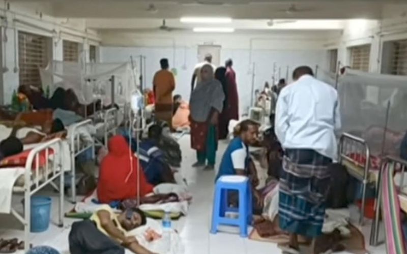 মহেশপুরে জামায়াত-বিএনপির সংঘর্ষে আহত ৬